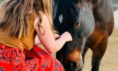 Mindful Meditation with Horses at Reid Ranch