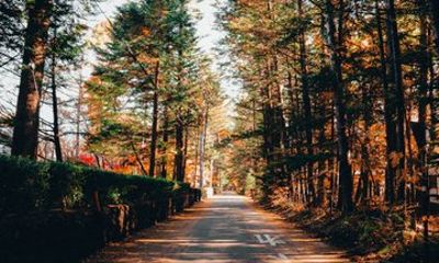 Experience the Best of Karuizawa A Private Guided Tour by AC Car