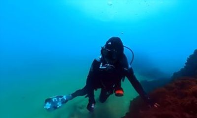 Lagos, Algarve: Private Scuba Diving Charter, Max 4 Guests
