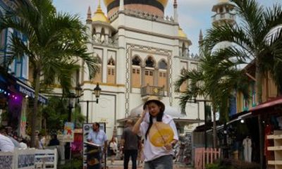 Harmony Walk and Heritage Tour in Singapore