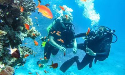 Red Sea Scuba Diving Tour in Hurghada (Beginners & Certified)
