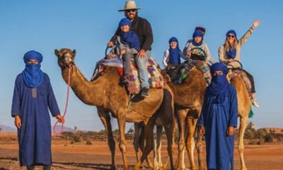 Camel Ride in the Marrakech Palm Grove with Mint Tea