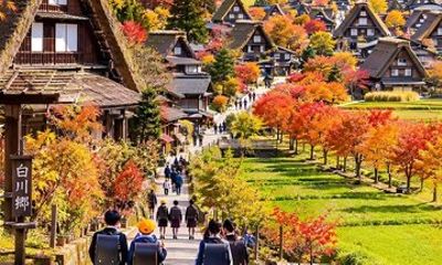 From Kanazawa or Toyama Shirakawa go and Takayama Day Trip