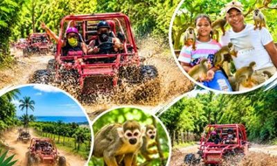 Puerto Plata Buggy Adventure and Monkey Home Tour