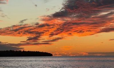 Everglades National Park Mangrove Sunset Boat Tour