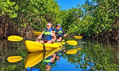 Puerto Plata Sea and River Kayaking, Mangrove Discovery and Beach