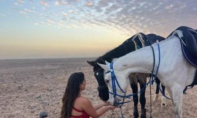 Majestic 2 Hours Horse Riding in Hurghada Beach and Desert