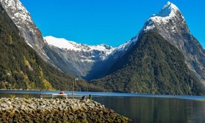 Queenstown to Te Anau to Milford Sound with Cruise 1 Way