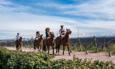Horseback vineyards Riding, Culinary Experience at Bodega Bandini