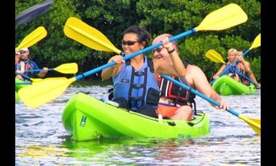 Shore Excursion: St Thomas Kayak, Hike & Snorkel with Transport
