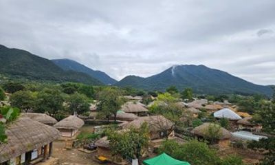 Suncheon Bay and Naganeupseong Folk Village Day Tour from Busan