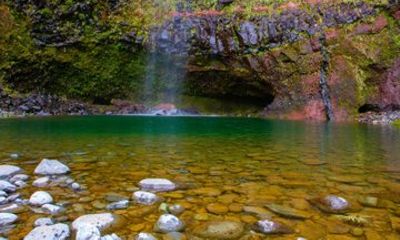 Transfer to Levada do Alecrim and Vereda da Lagoa do Vento