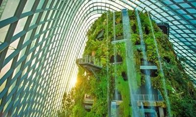 Gardens by the Bay Admission Ticket