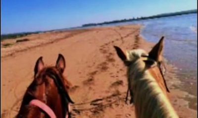 Agadir Souss Valley Horse Riding Adventure