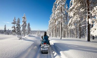 Rovaniemi Private Snowmobile Safari in the Arctic Wilderness