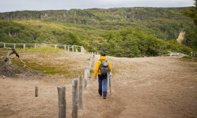 Magallanes National Reserve Trek in Punta Arenas