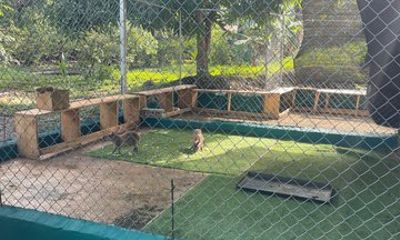 Countryside Monkey and capybara tour