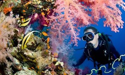 Hurghada Scuba Diving Trip for Certified Divers Multiple Days