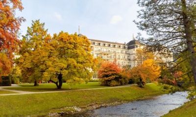 Baden Baden and Black Forest Full Day Tour from Frankfurt