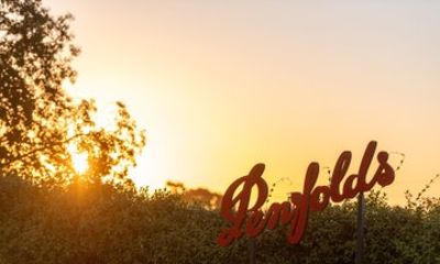 Penfolds Luxury Wine Tasting and Cellar Experience