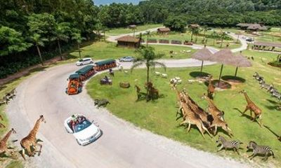 Guangzhou Chimelong Safari Park Admission Ticket