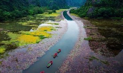 Ninh Binh Private Day Tour from Hanoi Custom Itinerary