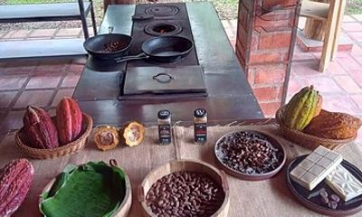 Authentic Costa Rica: Coffee, Cacao & Bees