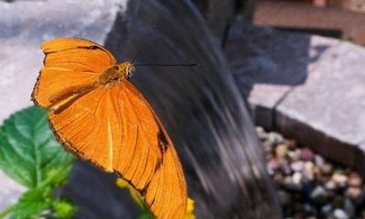 Skip the Line: General Admission to River Bend Nature Center Ticket