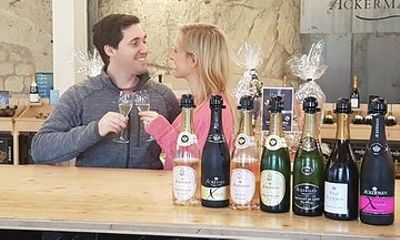7-Hour Guided Wine Tour in Loire Valley