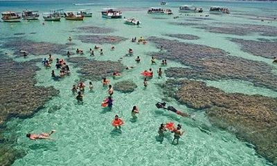 Tour to Maragogi from Maceió, including Natural pools by Edvantur