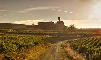 Rioja Wine Tour: 2 Wineries From Vitoria