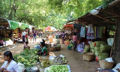 Bagan From a Local Perspective