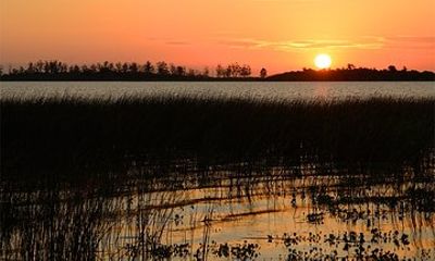 4-Days Discovering Ibera Wetland Premium Package