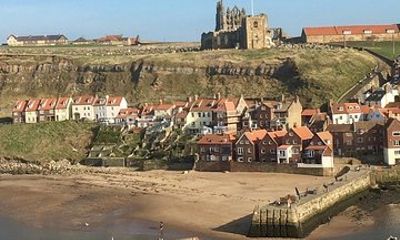 Private Tour: North Yorkshire Moors & Whitby from Harrogate