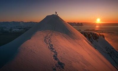 Small-group Snowshoeing Tour from Senja