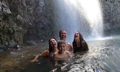 Rainforest & Waterfall Experience