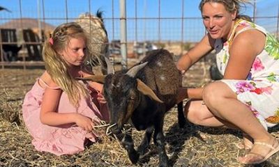 Family Hiking with Goats Experience in Fuerteventura