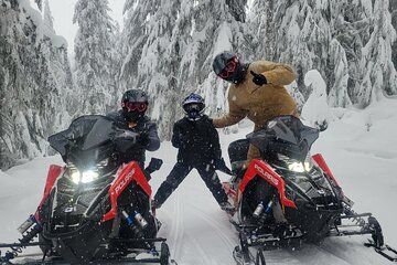 2 Hours Mt Spokane Snowmobile Tours