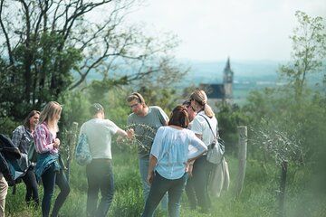 Pannolio Olive Experience in Eisenstadt