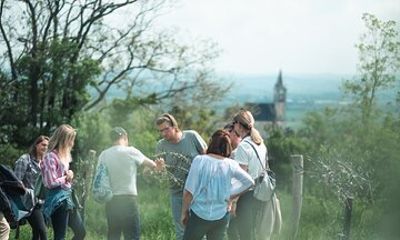 Pannolio Olive Experience in Eisenstadt