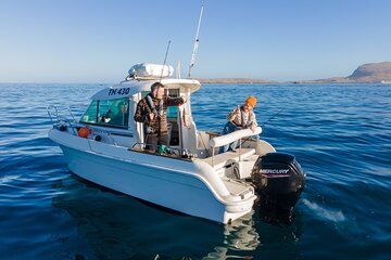 2 Hours Fishing Experience from Tórshavn