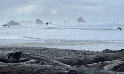 Private Adventure Awaits on the North Coast! (up to 3 travelers)
