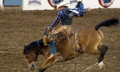 Montana Rodeo Experience Tour with Dinner