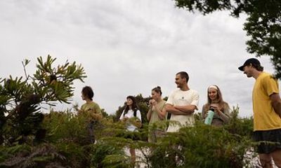 Coastal Nature Full-Day Walking Tour in Lennox Head