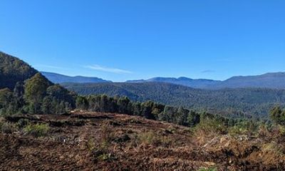 Mersey Forest Journey: E-Biking in the Tasmanian Woods
