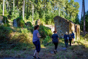 Southern Fleurieu Heritage & Nature Tour from Victor Harbor
