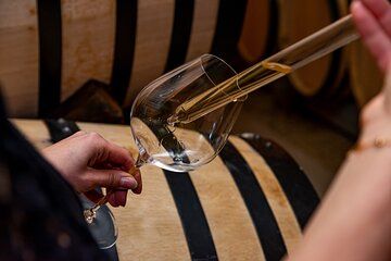 Côte de Nuits Wine Tour