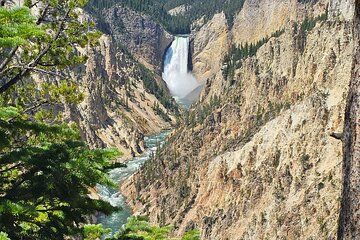 Full Day Van Tour Yellowstone Lower Loop from West Yellowstone