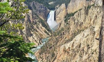 Full Day Van Tour Yellowstone Lower Loop from West Yellowstone