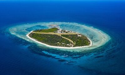 Great Barrier Reef Day Trip from Bundaberg to Lady Elliot Island